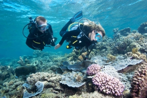 Cairns: Outer Great Barrier Reef Pontoon with Activities