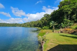 Cairns: Paronella, Lake Barrine & Millaa Millaa Falls Tour