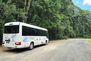 Cairns: Paronella, Lake Barrine & Millaa Millaa Falls Tour