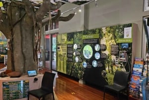 Cairns: Paronella, Lake Barrine & Millaa Millaa Falls Tour