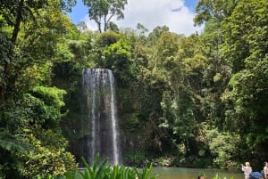 Cairns: Paronella, Lake Barrine & Millaa Millaa Falls Tour