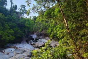 Cairns: Paronella, Lake Barrine & Millaa Millaa Falls Tour