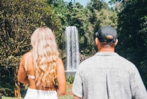 Cairns: Paronella, Lake Barrine & Millaa Millaa Falls Tour