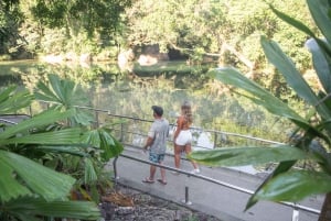 Cairns: Paronella, Lake Barrine & Millaa Millaa Falls Tour