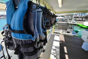Cairns: Pontoon Boat Hire with Optional BBQ and Fishing Hire