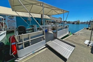 Cairns: Pontoon Boat Hire with Optional BBQ and Fishing Hire