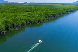 Cairns: Pontoon Boat Hire with Optional BBQ and Fishing Hire