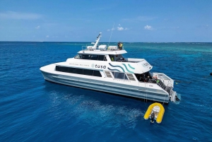 Cairns: Excursión de un día de buceo con guía privada