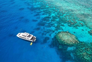 Cairns: Viagem de 1 dia de mergulho autônomo com guia particular