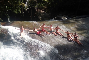 Cairns: Rainforest and Waterfalls Tour Atherton Tablelands