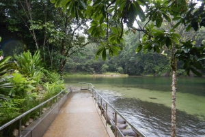 Cairns: Rainforest and Waterfalls Tour Atherton Tablelands