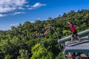 Cairns: Rainforest Bungy Jump