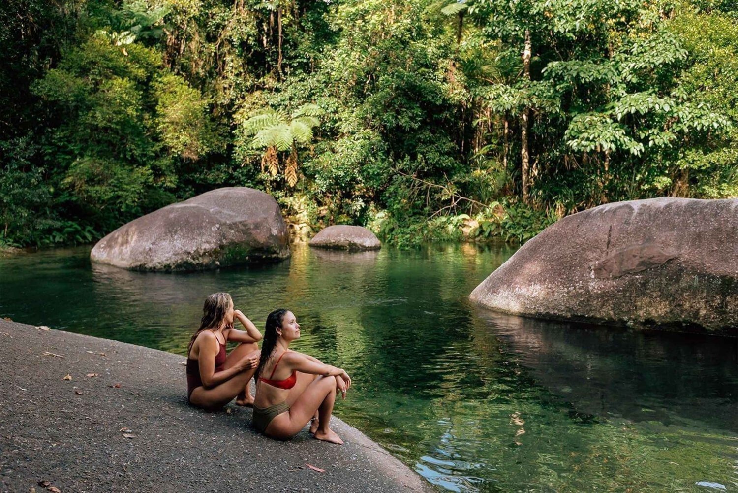 Cairns: Sademetsä, rannikko ja maamerkit Opastettu kierros