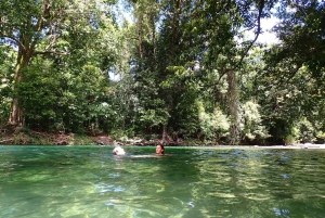 Cairns: Rainforest, Coastline and Landmarks Guided Tour