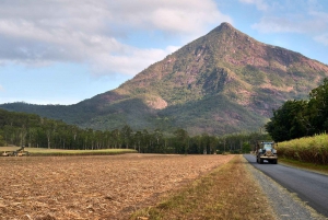 Cairns: Rainforest, Coastline and Landmarks Guided Tour