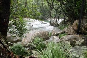 Cairns: Rainforest, Coastline and Landmarks Guided Tour