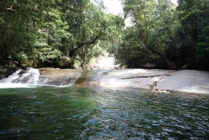 Cairns: Rainforest, Coastline and Landmarks Guided Tour