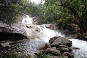 Cairns: Rainforest, Coastline and Landmarks Guided Tour