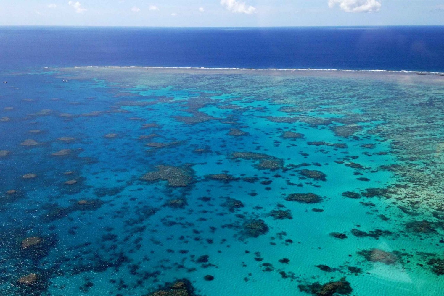 Cairns: Reef & Port Douglas Scenic Flight