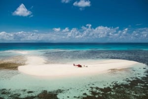 Cairns: Secluded Cay Helicopter Tour