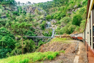 From Cairns: Kuranda Day Trip w/ Kuranda Train and Skyrail