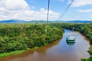 From Cairns: Kuranda Day Trip w/ Kuranda Train and Skyrail