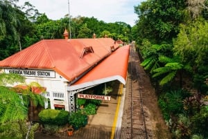 From Cairns: Kuranda Day Trip w/ Kuranda Train and Skyrail