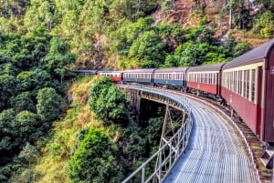 Depuis Cairns : Excursion à Kuranda avec le train de Kuranda et Skyrail