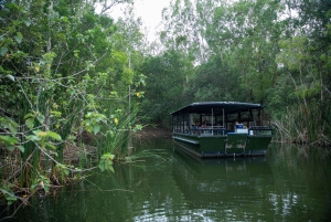 ケアンズ寄港地観光：クロコダイル＆ワイルドライフパークツアー
