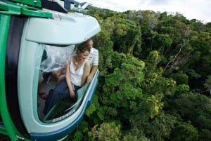 Cairns: Skyrail, Kuranda and Rail Tour with Hotel Transfer