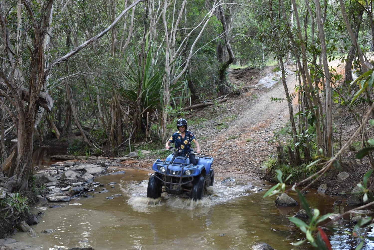 Cairns: Rainforest Skyrail, Quad Bike, and Zoo Half-Day Trip