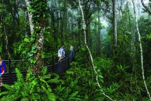 Cairns: Small Group Kuranda Tour via Skyrail and Scenic Rail