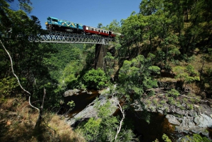 Cairns: Omvisning i liten gruppe i Kuranda via Scenic Rail og Skyrail