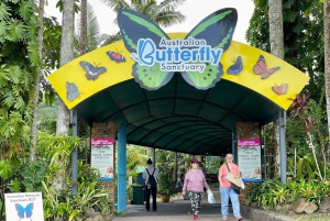 Cairns: Omvisning i liten gruppe i Kuranda via Scenic Rail og Skyrail