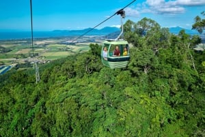 Cairns: Omvisning i liten gruppe i Kuranda via Scenic Rail og Skyrail