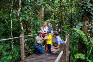 Cairns: Omvisning i liten gruppe i Kuranda via Scenic Rail og Skyrail