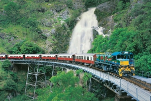Cairns: Tour per piccoli gruppi di Kuranda con Skyrail e Scenic Rail