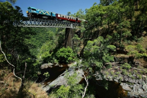 Cairns: Small Group Tour - Kuranda via bus and Scenic Rail