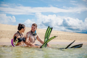 Cairns: Snorkel & Dive a Secluded Great Barrier Reef Island