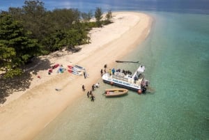 Snorkel & Dive a Secluded Great Barrier Reef Island