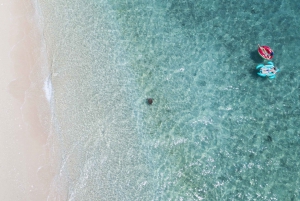Cairns: Snorkel & Dive a Secluded Great Barrier Reef Island