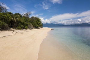 Cairns: Snorkel & Dive a Secluded Great Barrier Reef Island