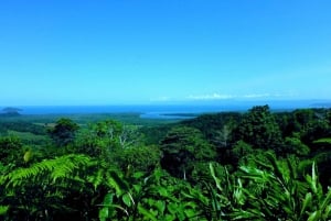 Cairns topp 2 måste göra turer - rev och regnskog