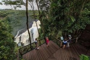 Cairns: Waterfall, Wetlands and Skyrail