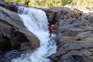 Cairns: Behana Gorge Waterfalls & Rainforest Adventure Tour