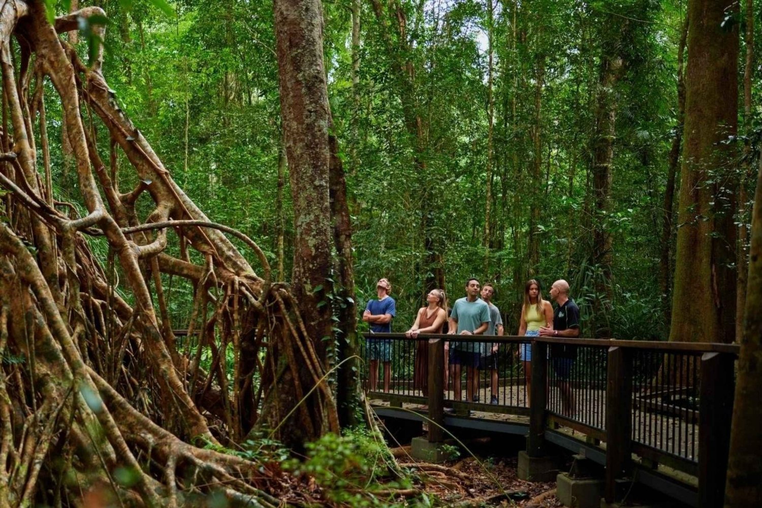 Cairns: Waterfalls, Rainforest and Instagram Tour Full Day