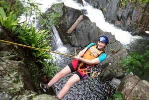 Cairns: Waterfalls Tour Full day - Advanced