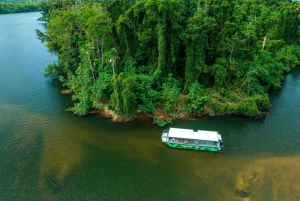 Cairns: Wildlife Habitat, Mossman Gorge og Daintree Tour