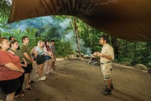 Cairns : Habitat faunique, gorges de Mossman et visite de Daintree