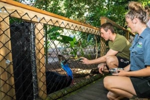 Cairns : Habitat faunique, gorges de Mossman et visite de Daintree